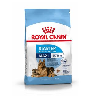 4 KG Royal Canin Starter Mother&Baby Maxi pienso para perros