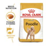 1.5 KG Royal Canin Adult Poodle pienso para perros
