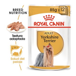 0.085 KG Royal Canin Yorkshire Terrier sobre para perros