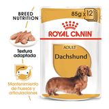 0.085 KG Royal Canin Sobre Paté para Teckel