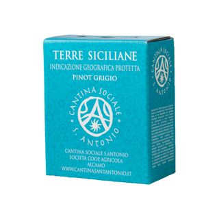 S.Antonio Pinot Grigio Box 3Lt
