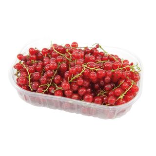 Ribizla 100g