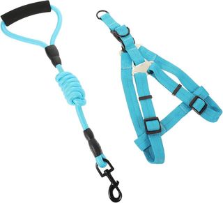 Harnais Small avec Laisse 1m20