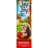 Пастила Jay&Joy малинова 32 г