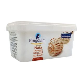 Glace Nata Cappuccino Pot Pingouin 1L