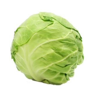 GREEN CABBAGE