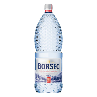 Borsec Apa Min Nat Plata 2l