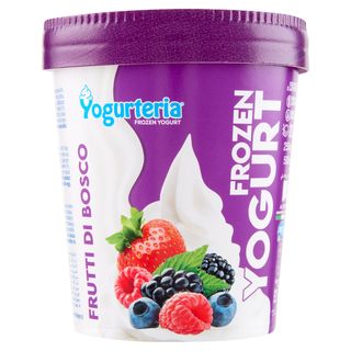 Yogurteria Merano yaourt glacé fruits des bois sans lactose 500ml