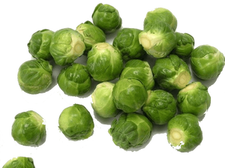 Bruxellois frais, 1 kg