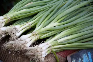 Ceapa verde