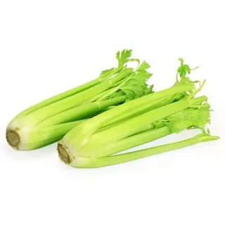 Tulpina de Țelină