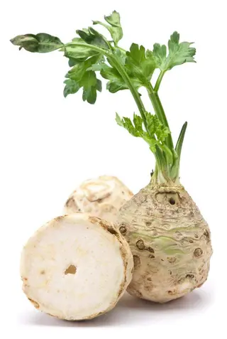 Rădăcină țelină