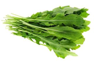 Rucola