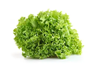 Salata gentile