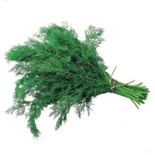 Marar verde