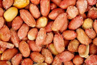 Arahide in coarja rosie