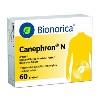 Canephron N dr N60