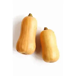 Butternut