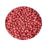 G.Nuts General Merchandise