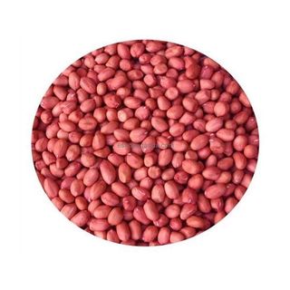 G.Nuts General Merchandise