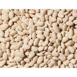Fresh White Beans, Loose