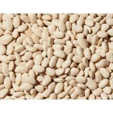 Fresh White Beans, Loose