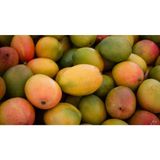 Fresh Mango, Single Piece