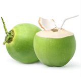 Green Coconut, Single Pack