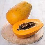 Yellow Pawpaw, Single Unit