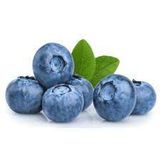 Fresh Blueberries, 1 Pack