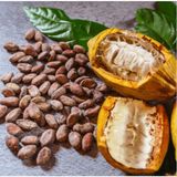 Cocoa Powder, 1 Pack