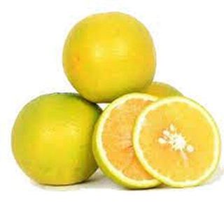 Fresh Oranges, Single Pack