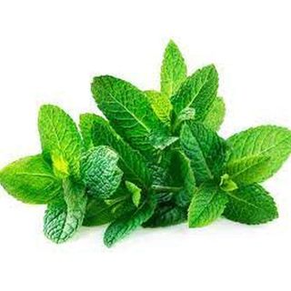 Fresh Mint Leaves, Loose