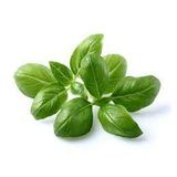 Fresh Basil, Loose