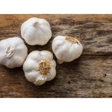 Garlic Four Bulbs, Fresh