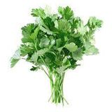 Fresh Parsley, Loose