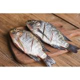 Tilapia Fish Medium, Fresh
