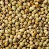 Coriander Seeds, Single Pack