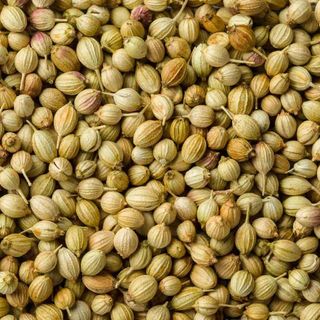 Coriander Seeds, Single Pack