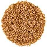 Mustard Seed, Single Pack
