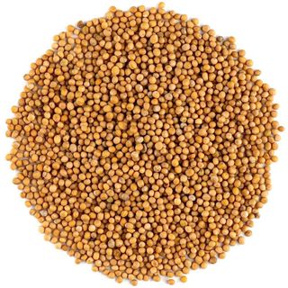 Mustard Seed, Single Pack