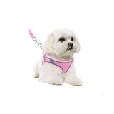 Harness leash for small dogs