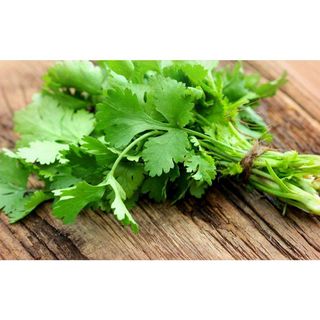 Coriander (Coat Meal)