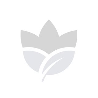 SER CAMEMBERT ROYAL 250G