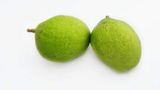 Green Mangoes, Small