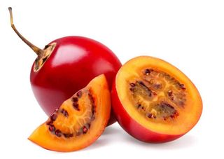 Red Tree Tomato (Tamarillo Fruit)