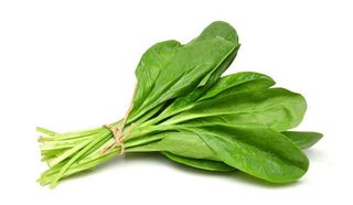 Fresh Spinach, Loose