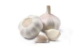 Fresh Garlic Bulb, Loose