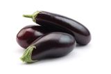 Purple Eggplant (Aubergine)