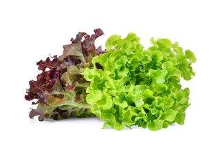 Lolo Rossa Lettuce, Fresh